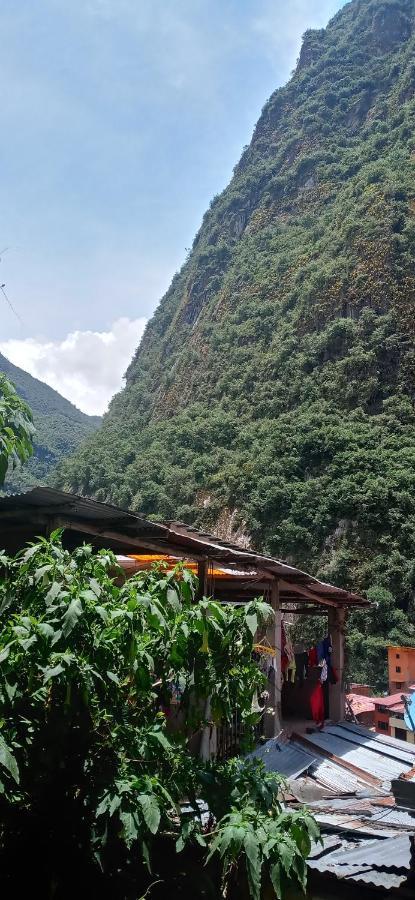 Eco Art Best View Machu Picchu Exteriör bild